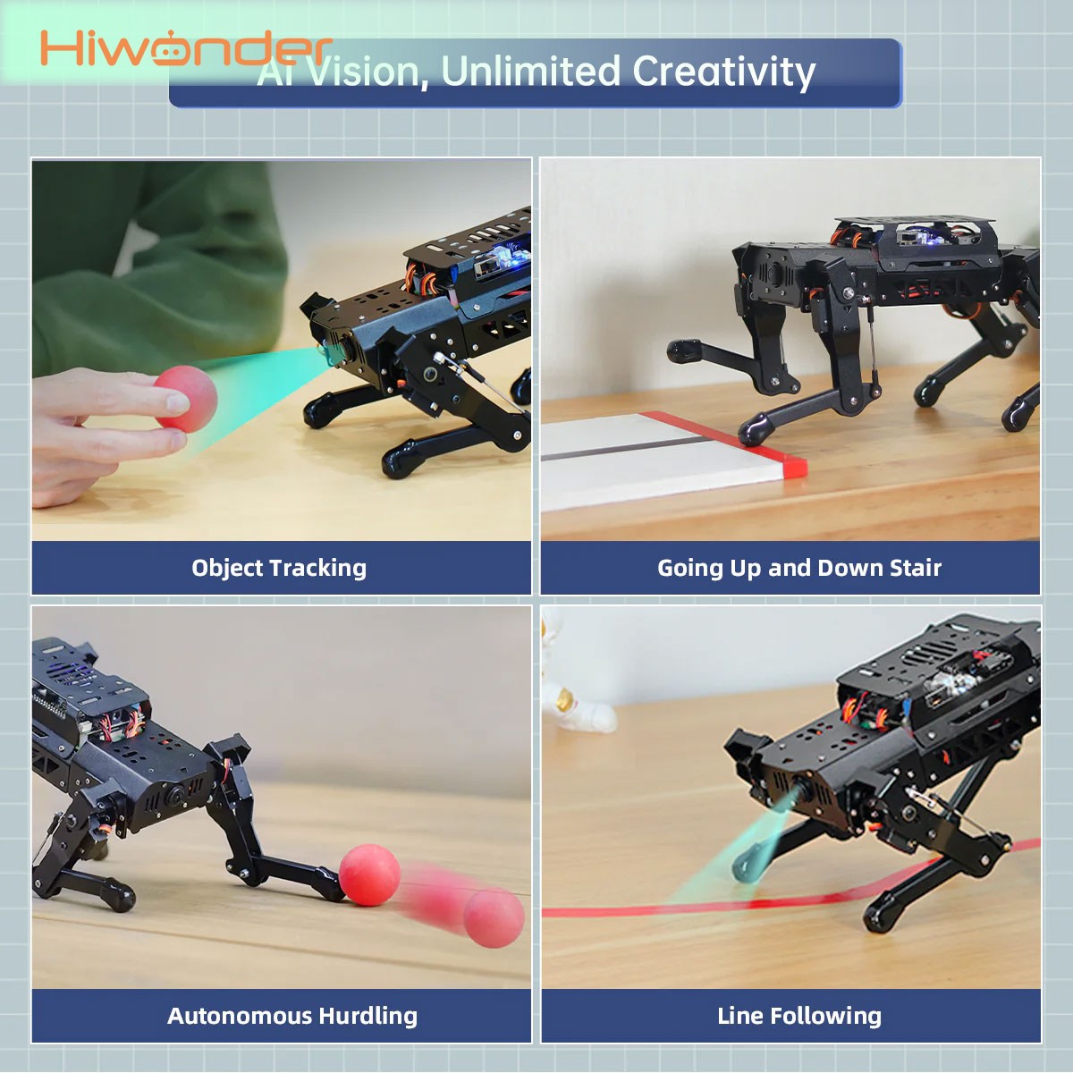 Hiwonder PuppyPi Standard Kit  - огляд і ціна Raspberry Pi 5 8Gb Kit